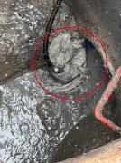 司曾经关门；市场上拆修工人的人工费根基上是